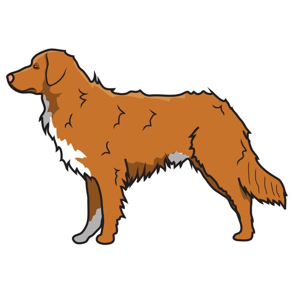 Signmission Nova Scotia Duck Tolling Retriever Dog Decal, Dog Lover Decor Vinyl Sticker D-12-Nova Scotia Duck Tolling Retriever - main